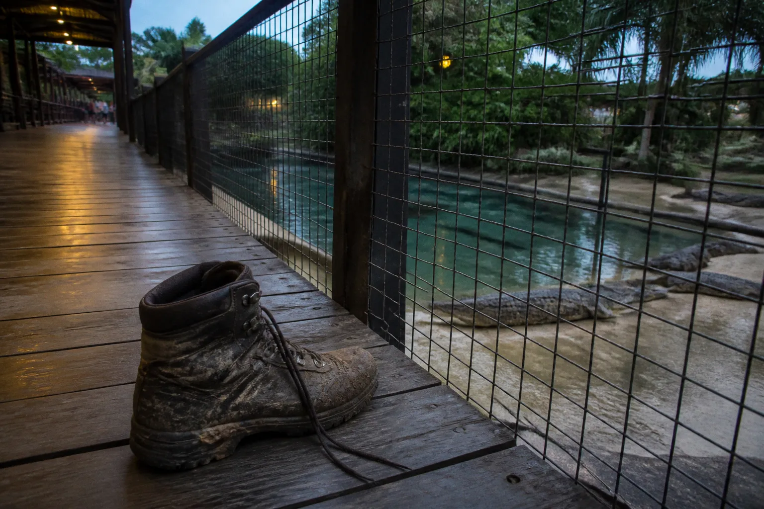 Entradas para Crocosaurus Cove: mi error en Darwin