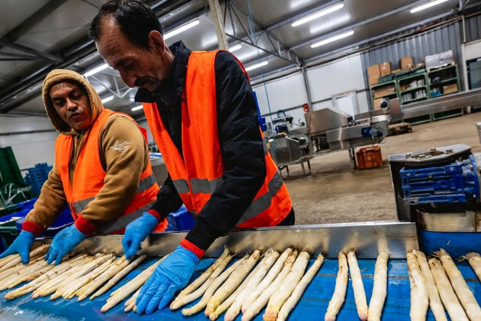 El mercado laboral checo abre sus puertas a profesionales extranjeros ante la falta de mano de obra